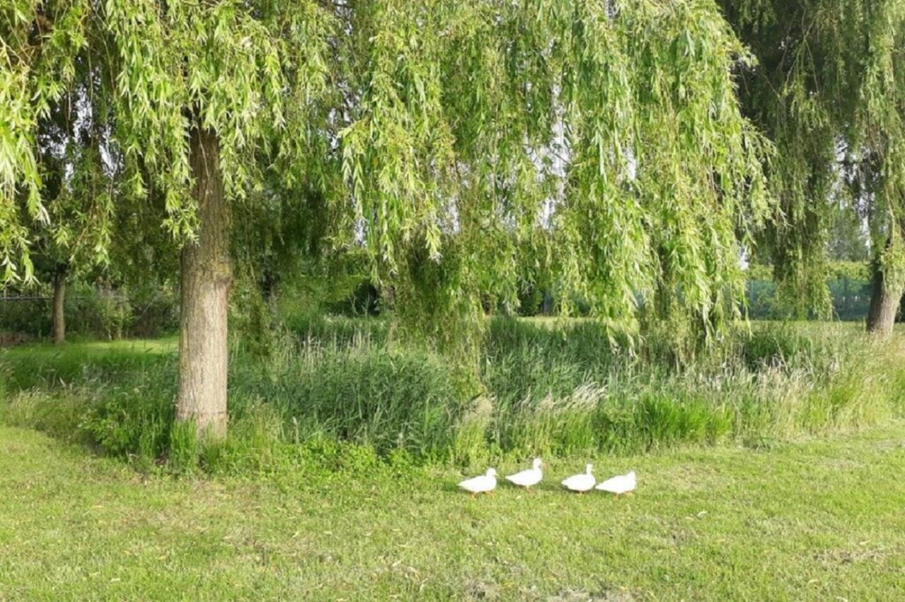 Vakantiewoning Goedgelegen Mb01 Middelburg Eksteriør bilde